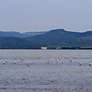  Hostel Adriatic